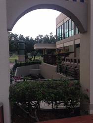 Hillview Heights (D23), Condominium #108016142